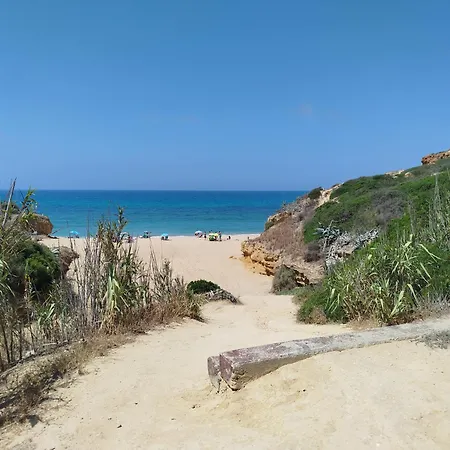 Conil View Front House - Espectacular Casa Con Vistas Al Mar Y Acceso Directo A La Playa Hébergement de vacances *